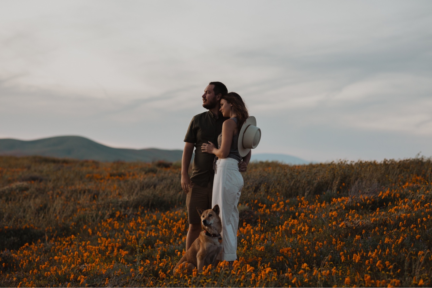 Couples photo session in the California poppy fields